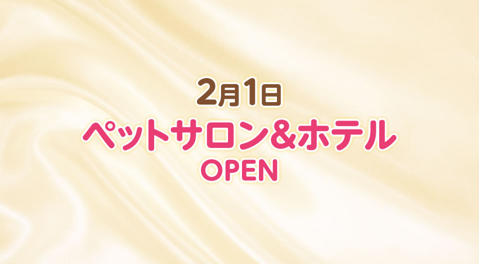 岐阜県山県市にあるペットショップ ドッグランド岐阜